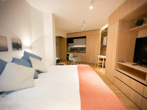 HOM I Encantador Depto tipo Studio en Lastarria